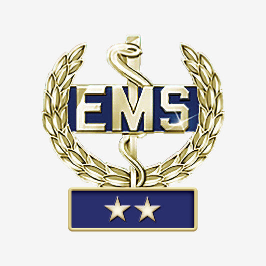 Emergency Medical Services Wreath Insignia 2 Star Banner