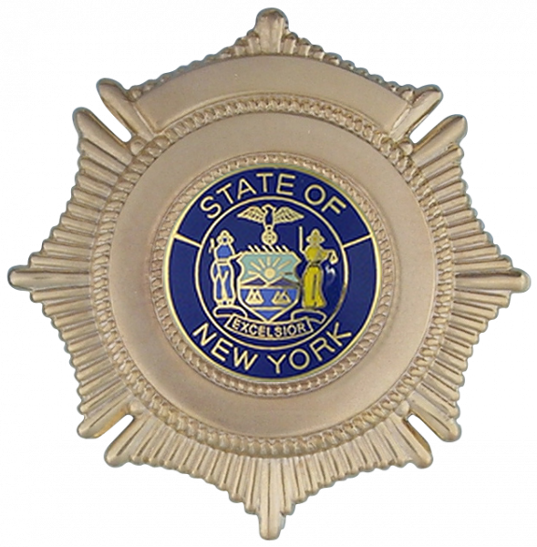 Series 100 Badge
