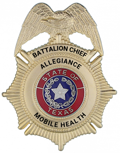 Series 100E Badge