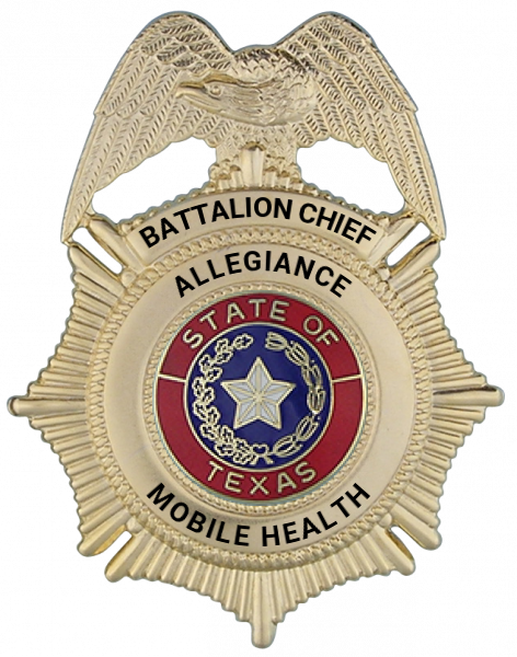 Series 100E Badge