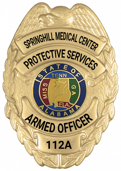 Series 17-1 Badge