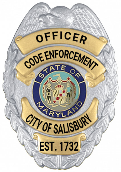 Series 17-1 Badge