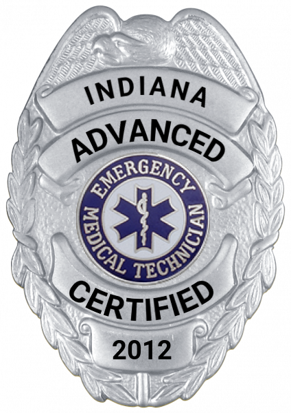 Series 17-1 Badge