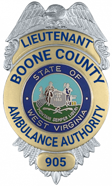 Series 12 Badge