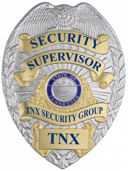 Series 16 Badge