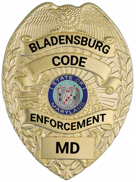 Series 16 Badge