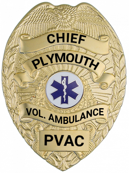 Series 16 Badge