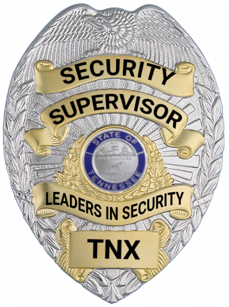Series 16 Badge