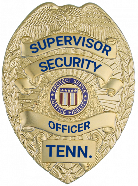 Series 16 Badge