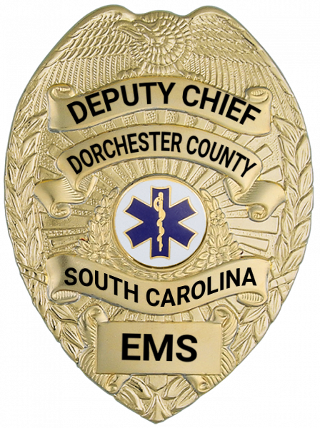 Series 16 Badge