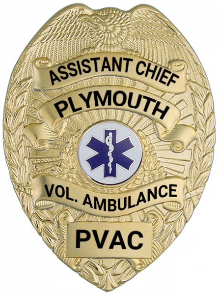 Series 16 Badge