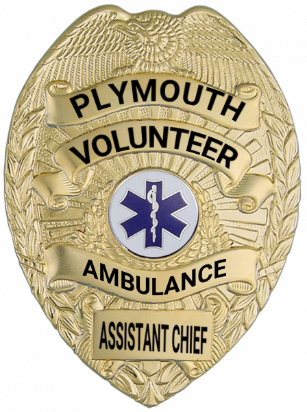 Series 16 Badge