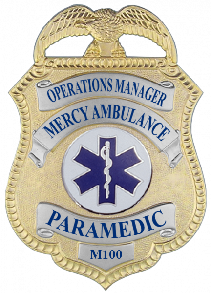 Series 11 Badge
