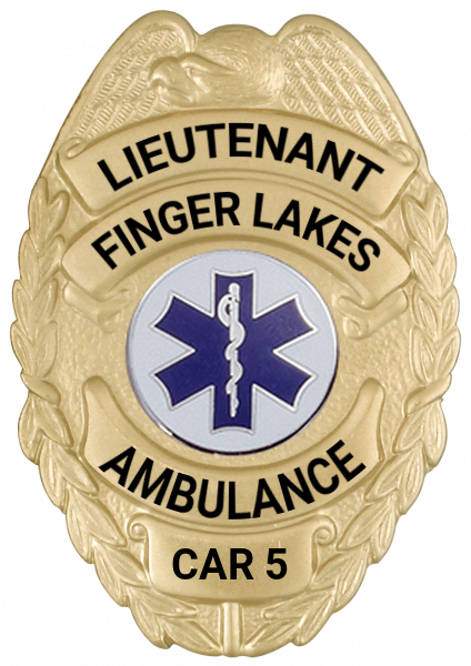 Series 17-2 Badge