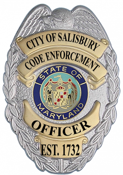 Series 17-2 Badge