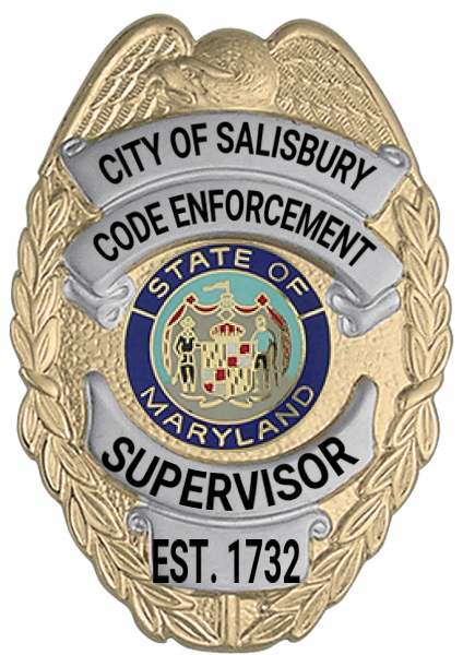 Series 17-2 Badge