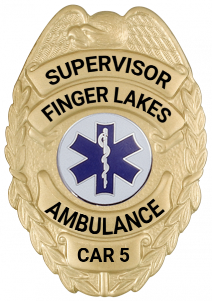 Series 17-2 Badge