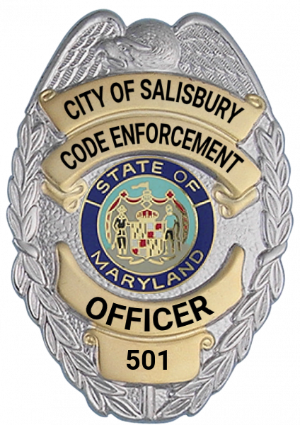 Series 17-2 Badge
