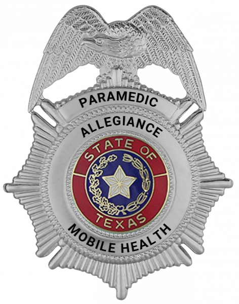Series 100E Badge