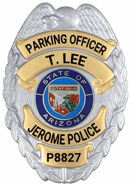 Series 17-1 Badge