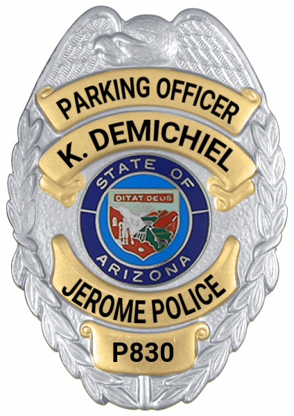 Series 17-1 Badge