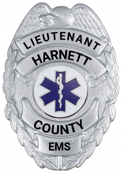 Series 17-1 Badge
