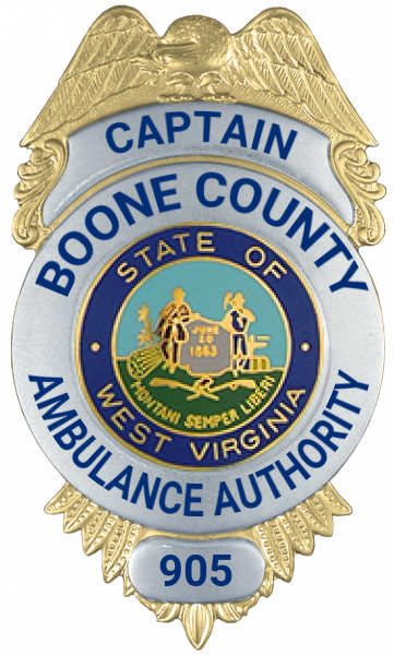 Series 12 Badge