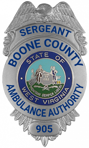 Series 12 Badge