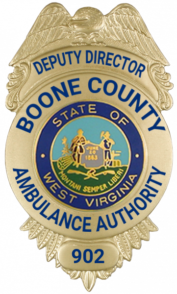 Series 12 Badge