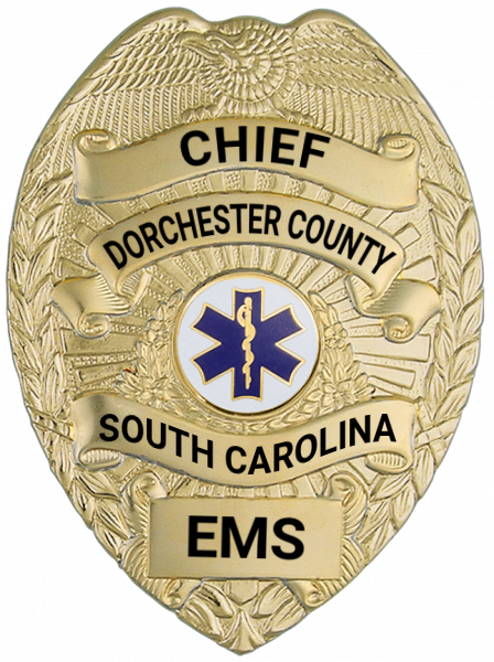 Series 16 Badge