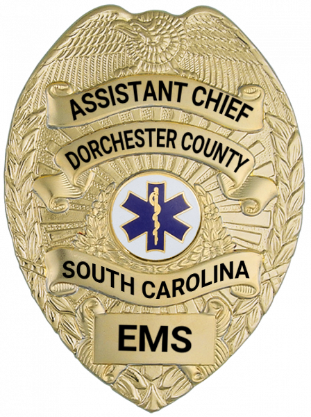 Series 16 Badge