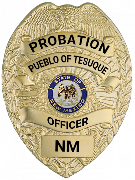 Series 16 Badge