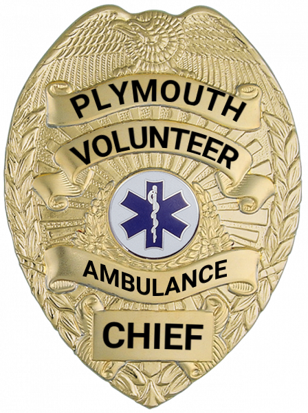 Series 16 Badge