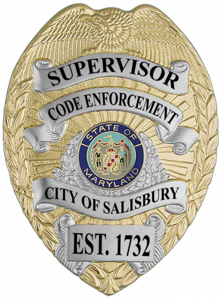 Series 16 Badge