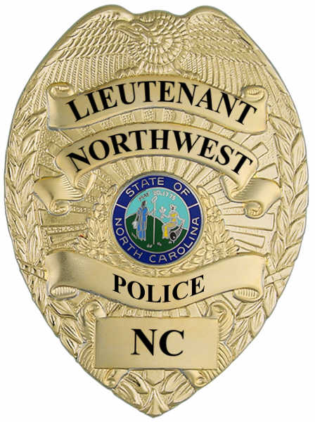 Series 16 Badge