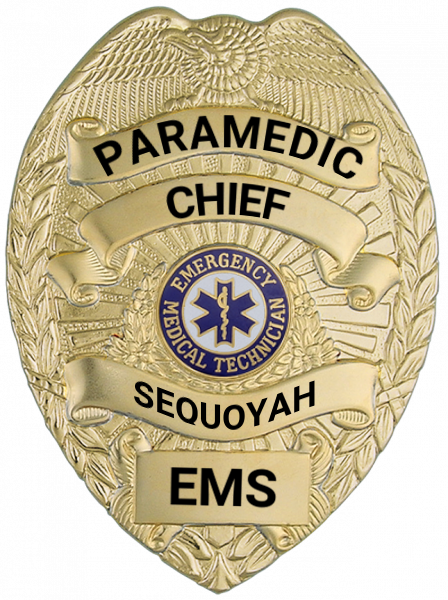 Series 16 Badge