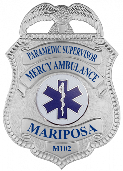 Series 11 Badge