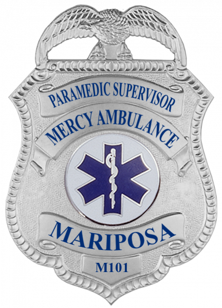 Series 11 Badge