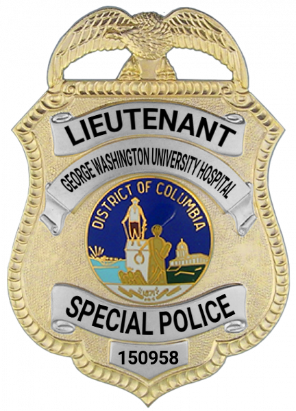 Series 11 Badge