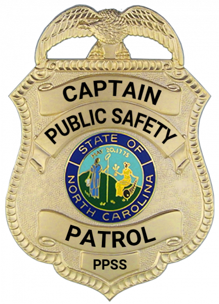 Series 11 Badge
