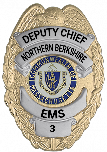 Series 17-2 Badge