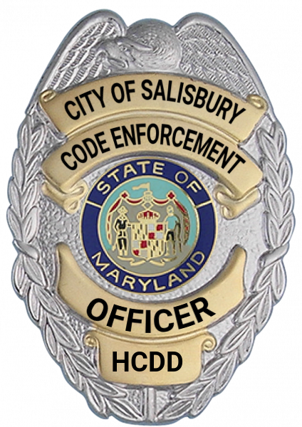 Series 17-2 Badge